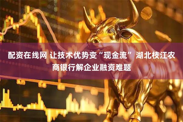 配资在线网 让技术优势变“现金流” 湖北枝江农商银行解企业融资难题